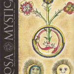 Rosa Mystica n. 3